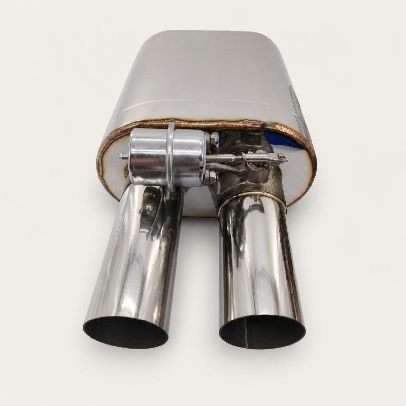 Pneumatic Single-In / Dual-Out Valved Muffler